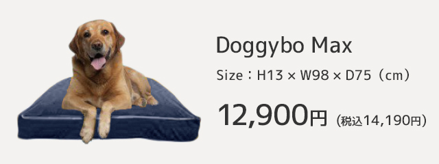 Doggybo Max