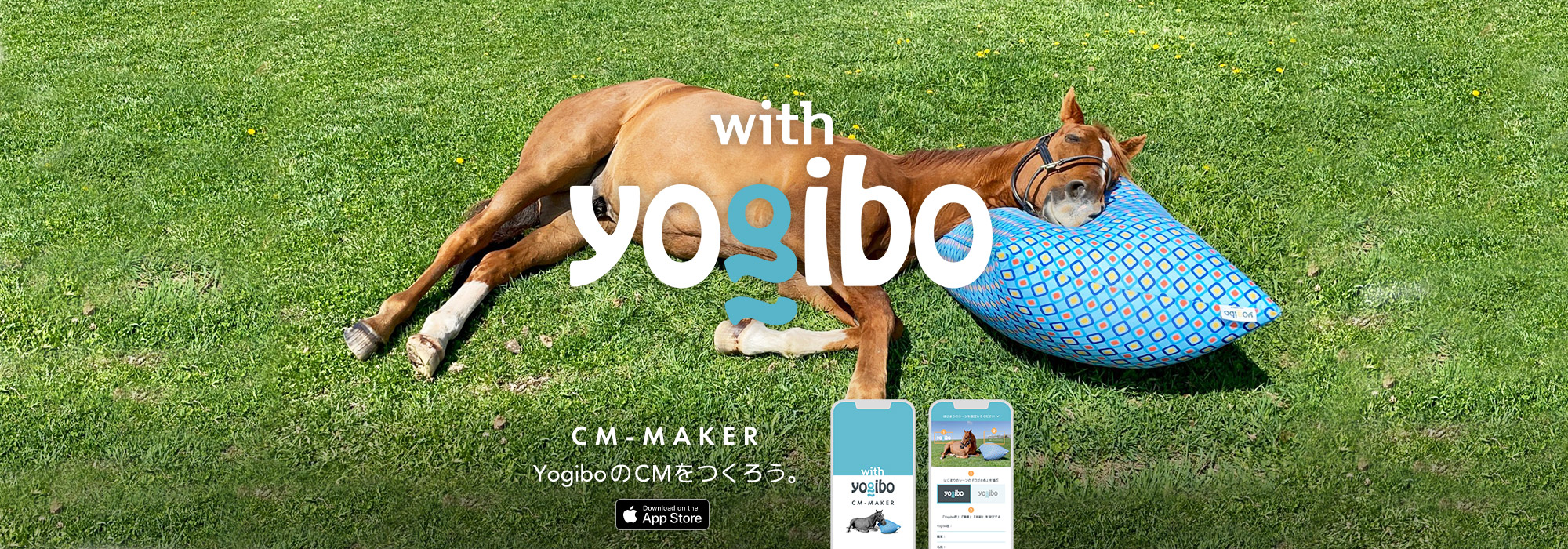 with Yogibo - WE ARE yogibo USERS.