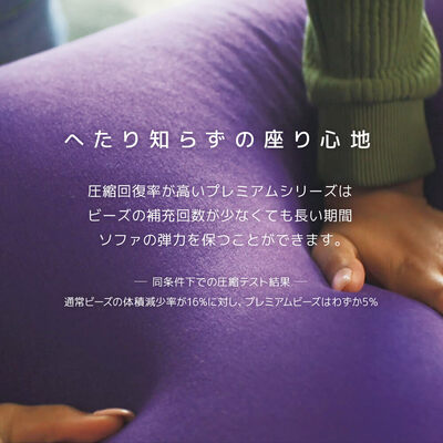 Yogibo Lounger Rainbow Premium（ヨギボー ラウンジャー レインボー