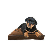 Doggybo Mini（ドギボー ミニ） チョコレートブラウン